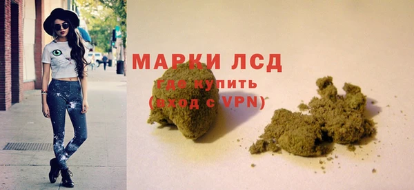 шишки Алзамай