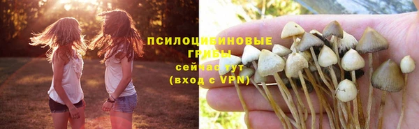 спайс Абинск